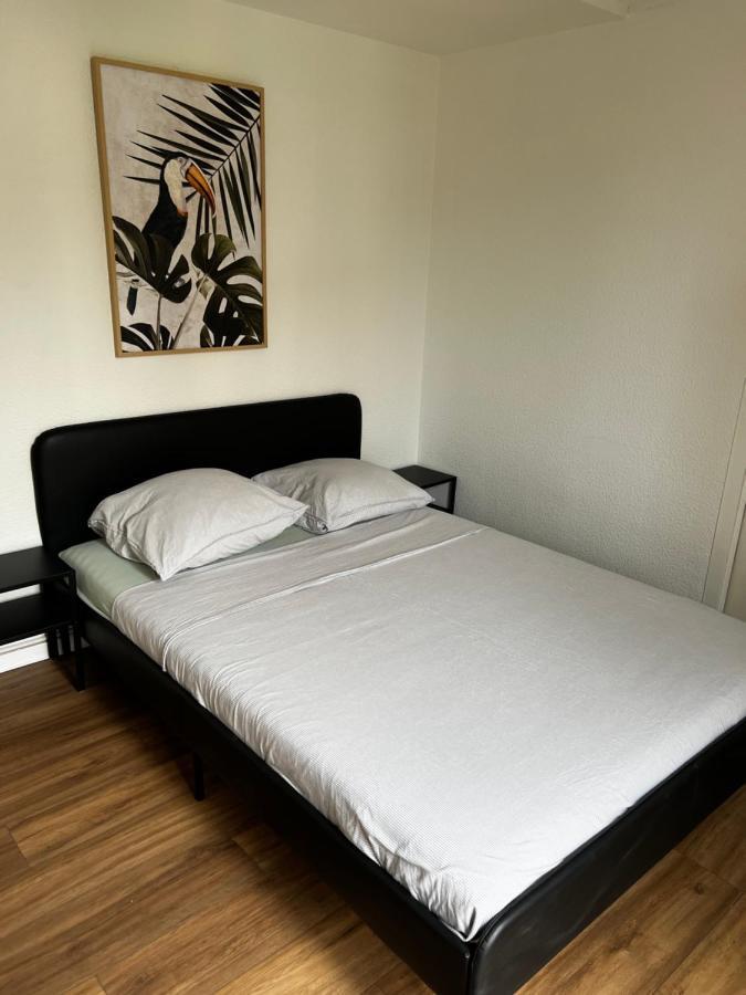 Appartement Prox Lycee Arago 佩皮尼昂 外观 照片